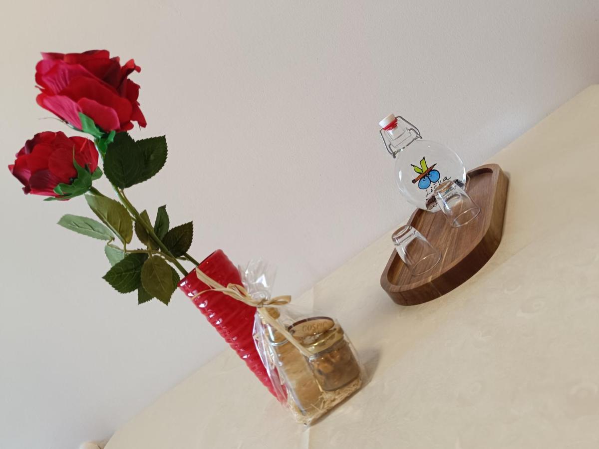 Ante Apartment Gospic